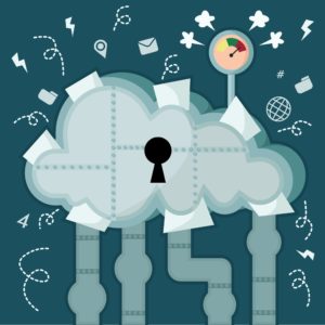 Vulnerability Management